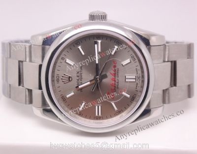 NEW Replica Rolex Oyster Perpetual Watch SS Gray Dial watches