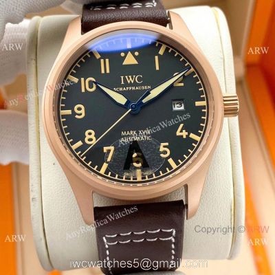 2020 New IWC Pilot Mark XVIII Watches Rose Gold CasE watches