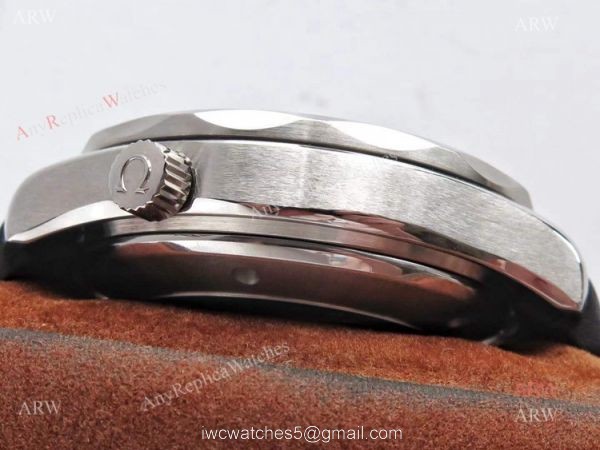 Omega Seamaster Diver 300M ETNZ Limited Edition Replica Watch Omega Seamaster Diver 300M ETNZ Limited Edition Replica Watch