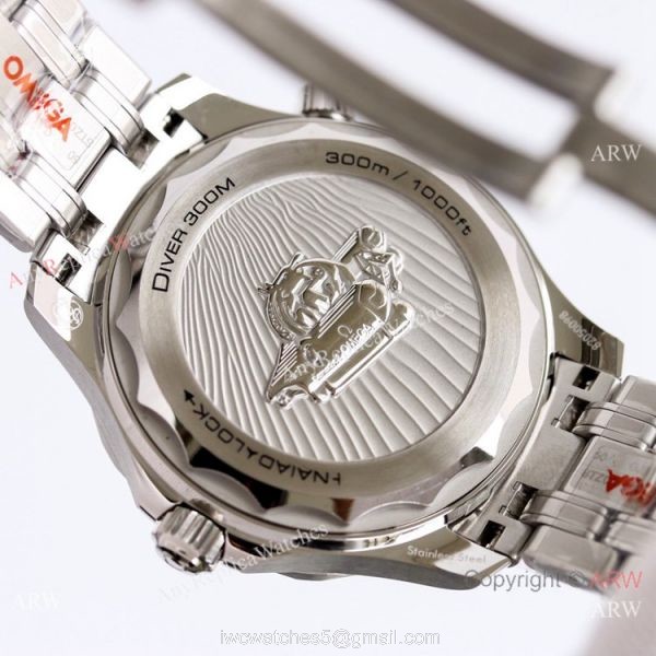 2021 NEW Omega Seamaster Diver 300 &8216;Nekton Stainless Steel Watch OR Factory Swiss 8806 Movement