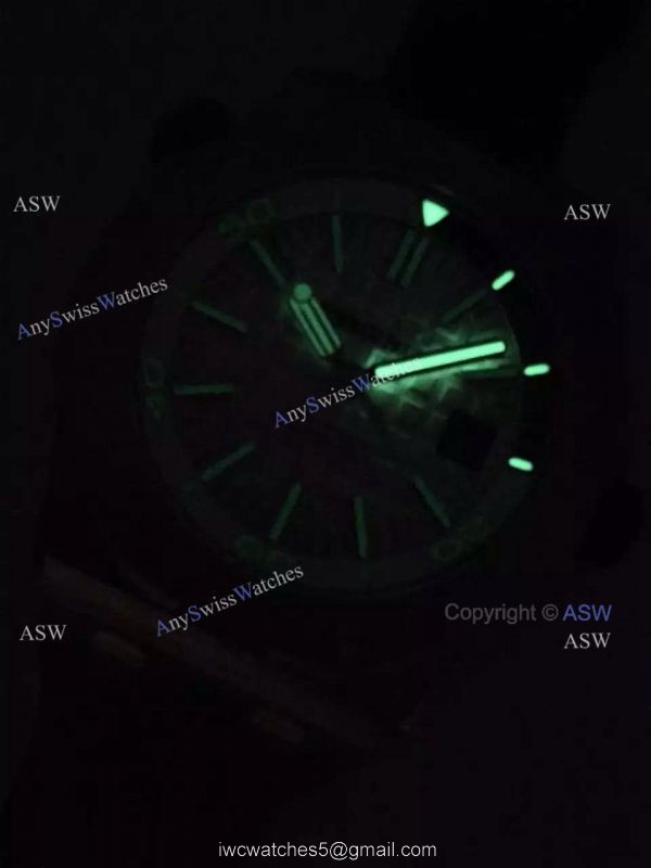 Swiss Audemars Piguet Replica Watch SS White Black Rubber Watch